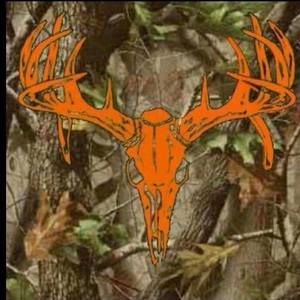 Meet your Posher, Phillip